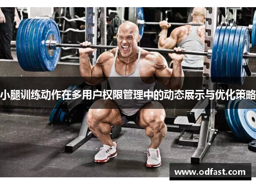 小腿训练动作在多用户权限管理中的动态展示与优化策略